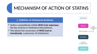 MECHANISM OF ACTION OF STATINS
1. Inhibition of Cholesterol Synthesis:
• Statins competitively inhibit HMG-CoA reductase,
the key enzyme in cholesterol biosynthesis.
• This blocks the conversion of HMG-CoA to
mevalonate, a precursor of cholesterol.
 