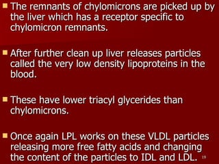 The remnants of chylomicrons are picked up by the liver which has a receptor specific to chylomicron remnants.  After further clean up liver releases particles called the very low density lipoproteins in the blood.  These have lower triacyl glycerides than chylomicrons.  Once again LPL works on these VLDL particles releasing more free fatty acids and changing the content of the particles to IDL and LDL.  