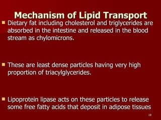Mechanism of Lipid Transport Dietary fat including cholesterol and triglycerides are absorbed in the intestine and released in the blood stream as chylomicrons.  These are least dense particles having very high proportion of triacylglycerides.  Lipoprotein lipase acts on these particles to release some free fatty acids that deposit in adipose tissues  