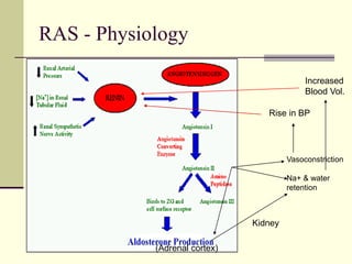 RAS - Physiology
Vasoconstriction
Na+ & water
retention
(Adrenal cortex)
Kidney
Increased
Blood Vol.
Rise in BP
 