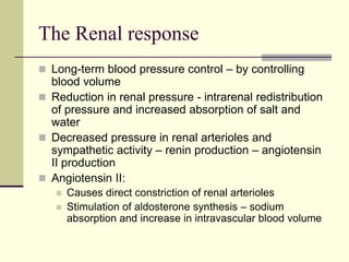 The Renal response
 Long-term blood pressure control – by controlling
blood volume
 Reduction in renal pressure - intrarenal redistribution
of pressure and increased absorption of salt and
water
 Decreased pressure in renal arterioles and
sympathetic activity – renin production – angiotensin
II production
 Angiotensin II:
 Causes direct constriction of renal arterioles
 Stimulation of aldosterone synthesis – sodium
absorption and increase in intravascular blood volume
 
