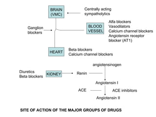 BRAIN
(VMC)
HEART
BLOOD
VESSEL
KIDNEY
Beta blockers
Calcium channel blockers
Centrally acting
sympatholytics
Ganglion
blockers
Alfa blockers
Vasodilators
Calcium channel blockers
Angiotensin receptor
blocker (AT1)
Diuretics
Beta blockers
Renin
ACE
angiotensinogen
Angiotensin I
Angiotensin II
ACE inhibitors
SITE OF ACTION OF THE MAJOR GROUPS OF DRUGS
 