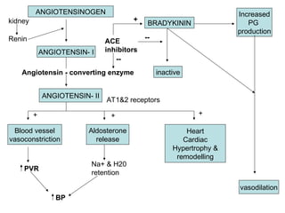 ANGIOTENSINOGEN
ANGIOTENSIN- I
ANGIOTENSIN- II
BRADYKININ
Increased
PG
production
vasodilation
inactive
Angiotensin - converting enzyme
ACE
inhibitors
--
--
+
Renin
kidney
Blood vessel
vasoconstriction
Aldosterone
release
Heart
Cardiac
Hypertrophy &
remodelling
+ + +
PVR
BP
Na+ & H20
retention
AT1&2 receptors
 