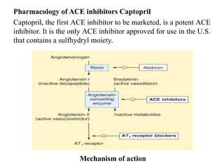 Pharmacology of ACE inhibitors Captopril
Captopril, the first ACE inhibitor to be marketed, is a potent ACE
inhibitor. It is the only ACE inhibitor approved for use in the U.S.
that contains a sulfhydryl moiety.
Mechanism of action
 