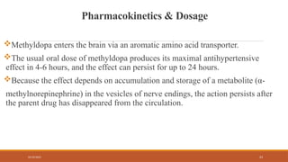 02/10/2025 23
Pharmacokinetics & Dosage
Methyldopa enters the brain via an aromatic amino acid transporter.
The usual oral dose of methyldopa produces its maximal antihypertensive
effect in 4-6 hours, and the effect can persist for up to 24 hours.
Because the effect depends on accumulation and storage of a metabolite (α-
methylnorepinephrine) in the vesicles of nerve endings, the action persists after
the parent drug has disappeared from the circulation.
 