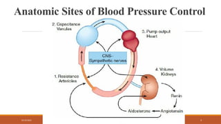 02/10/2025 3
Anatomic Sites of Blood Pressure Control
 