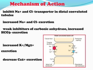 Mechanism of Action
inhibit Na+ and Cl- transporter in distal convoluted
tubules
increased Na+ and Cl- excretion
weak inhibitors of carbonic anhydrase, increased
HCO3- excretion
increased K+/Mg2+
excretion
decrease Ca2+ excretion
 