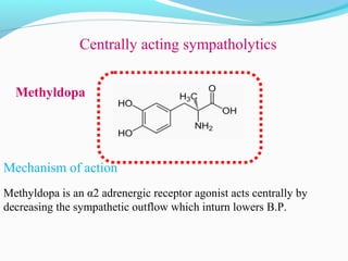 Centrally acting sympatholytics
Mechanism of action
Methyldopa is an α2 adrenergic receptor agonist acts centrally by
decreasing the sympathetic outflow which inturn lowers B.P.
Methyldopa
 