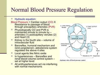 Normal Blood Pressure Regulation
 Hydraulic equation:
Blood Pressure = Cardiac output (CO) X
Resistance to passage of blood
through precapillary arterioles (PVR)
 Physiologically CO and PVR is
maintained minute to minute by –
arterioles (1) postcapillary venules (2)
and Heart (3)
 Kidney is the fourth site – volume of
intravascular fluid
 Baroreflex, humoral mechanism and
renin-angiotensin- aldosterone system
regulates the above 4 sites
 Local agents like Nitric oxide
 In hypertensives – Baroreflex and
renal blood-volume control system –
set at higher level
 All antihypertensives act via interfering
with normal mechanisms
 