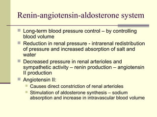 Renin-angiotensin-aldosterone system
 Long-term blood pressure control – by controlling
blood volume
 Reduction in renal pressure - intrarenal redistribution
of pressure and increased absorption of salt and
water
 Decreased pressure in renal arterioles and
sympathetic activity – renin production – angiotensin
II production
 Angiotensin II:
 Causes direct constriction of renal arterioles
 Stimulation of aldosterone synthesis – sodium
absorption and increase in intravascular blood volume
 