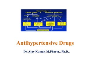 Antihypertensive Drugs
Dr. Ajay Kumar, M.Pharm., Ph.D.,
 