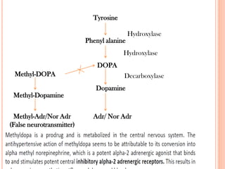 Tyrosine
Phenyl alanine
DOPA
Dopamine
Adr/ Nor Adr
Hydroxylase
Hydroxylase
Decarboxylase
Methyl-DOPA
Methyl-Dopamine
Methyl-Adr/Nor Adr
(False neurotransmitter)
 