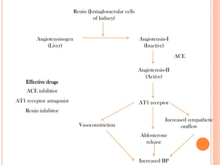 Renin (Juxtaglomerular cells
of kidney)
Angiotensinogen
(Liver)
Angiotensin-I
(Inactive)
Angiotensin-II
(Active)
AT1 receptor
Aldosterone
release
Vasoconstriction
Increased sympathetic
outflow
Increased BP
ACE
Effective drugs
ACE inhibitor
AT1 receptor antagonist
Renin inhibitor
 