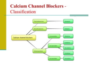 Calcium Channel Blockers -
Classification
 