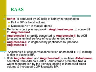 RAAS
 Renin is produced by JG cells of kidney in response to
 Fall in BP or blood volume
 Decrease Na+ in macula densa
 Renin acts on a plasma protein Angiotensinogen to convert it
to Angiotensin-I
 Angiotensin-I is rapidly converted to Angiotensin-II by ACE
(present in luminal surface of vascular endothelium)
 Angiotensin-II is degraded by peptidases to produce
Angiotensin-III
 Angiotensin II causes vasoconstriction (increased TPR) leading
to rise in diastolic BP.
 Both Angiotensin-II and Angiotensin-III stimulates Aldosterone
secretion from Adrenal Cortex . Aldosterone promotes Na+ &
water reabsorption by the kidneys leading to increased blood
volume & increased COP & systolic BP.
 