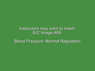 Instructors may want to insert  EIC Image #69: Blood Pressure: Normal Regulation 