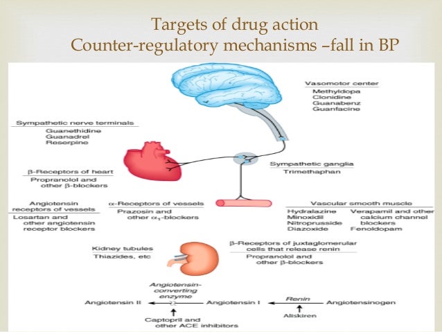 Catapres Drug Action