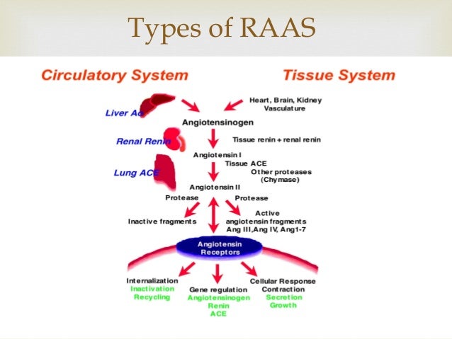 Recent advances in treatment of Hypertension -- Drugs inhibiting RAAS…