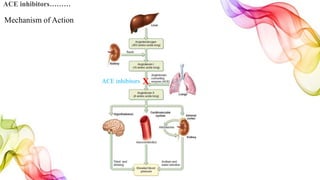 ACE inhibitors………
XACE inhibitors
Mechanism of Action
 