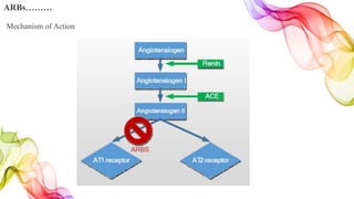 ARBs………
Mechanism of Action
 