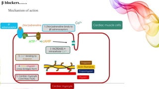β blockers……
Mechanism of action
 