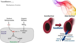 Vasodilators…..
Mechanism of action
 