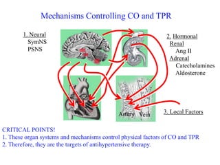 Anti hypertensive Drugs lecture for BAMS students | PPT