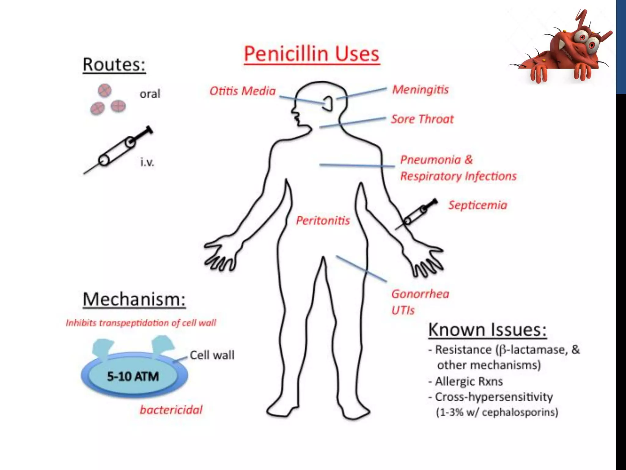 Anti infective agents | PDF