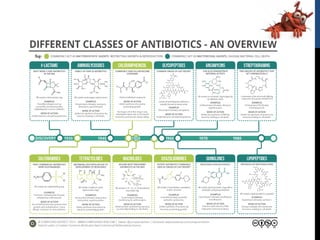 Anti infective agents | PDF