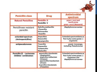 Anti infective agents | PDF