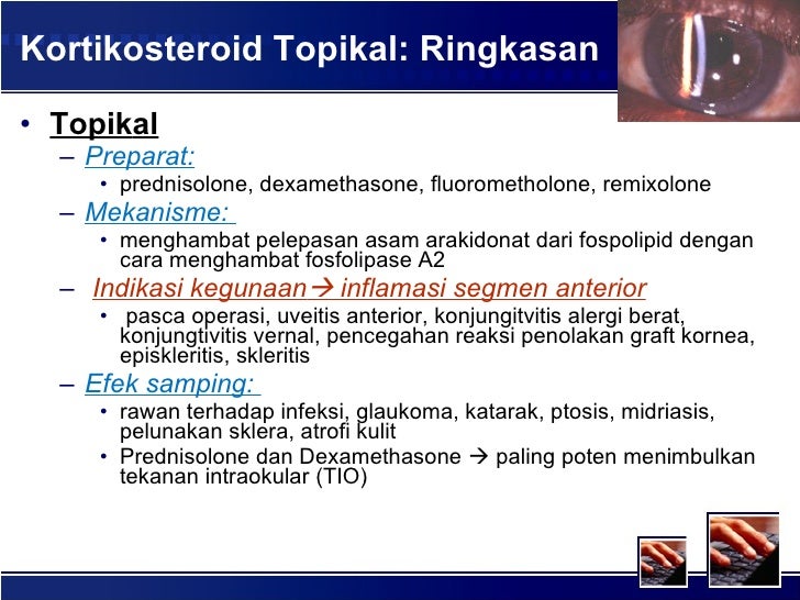 KORTIKOSTEROID TOPIKAL PDF DOWNLOAD KORTIKOSTEROID TOPIKAL PDF DOWNLOAD