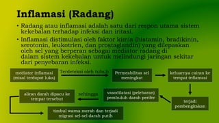 Inflamasi (Radang)
• Radang atau inflamasi adalah satu dari respon utama sistem
kekebalan terhadap infeksi dan iritasi.
• Inflamasi distimulasi oleh faktor kimia (histamin, bradikinin,
serotonin, leukotrien, dan prostaglandin) yang dilepaskan
oleh sel yang berperan sebagai mediator radang di
dalam sistem kekebalan untuk melindungi jaringan sekitar
dari penyebaran infeksi.
mediator inflamasi
(misal terdapat luka)
Terdeteksi oleh tubuh Permeabilitas sel
meningkat
keluarnya cairan ke
tempat inflamasi
terjadi
pembengkakan
vasodilatasi (pelebaran)
pembuluh darah perifer
aliran darah dipacu ke
tempat tersebut
sehingga
timbul warna merah dan terjadi
migrasi sel-sel darah putih
 