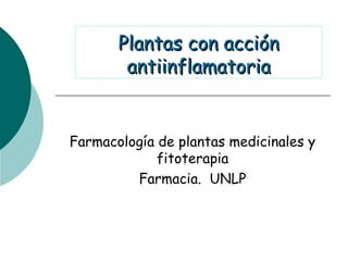 Plantas con acciónPlantas con acción
antiinflamatoriaantiinflamatoria
Farmacología de plantas medicinales y
fitoterapia
Farmacia. UNLP
 