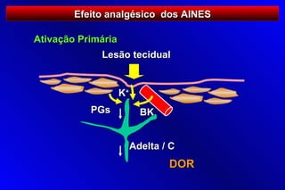 Efeito analgésico dos AINES

Ativação Primária
             Lesão tecidual


                    K+
           PGs             BK


                         Adelta / C
                                 DOR
 