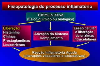 Fisiopatologia do processo inflamatório
                     Estímulo lesivo
             (físico,químico ou biológico)

Liberação:                               Lesão celular
Histamina                                 e liberação
                  Ativação do Sistema     de enzimas
Cininas              Complemento
Prostaglandinas                          intracelulares
Leucotrienos

                 Reação Inflamatória Aguda
           (alterações vasculares e exsudativas)
 