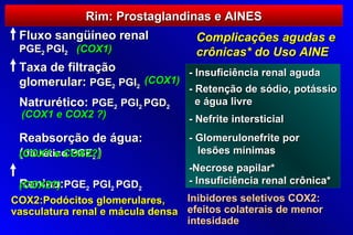 Rim: Prostaglandinas e AINES
 Fluxo sangüíneo renal             Complicações agudas e
 PGE2 PGI2 (COX1)                  crônicas* do Uso AINE
 Taxa de filtração            - Insuficiência renal aguda
 glomerular: PGE2 PGI2 (COX1)
                              - Retenção de sódio, potássio
 Natrurético: PGE2 PGI2 PGD2    e água livre
 (COX1 e COX2 ?)                  - Nefrite intersticial
 Reabsorção de água:              - Glomerulonefrite por
 (diurético PGE2 )
 (COX1 e COX2?)                     lesões mínimas
                                  -Necrose papilar*
 Renina:
 (COX2?) PGE2 PGI2 PGD2           - Insuficiência renal crônica*
COX2:Podócitos glomerulares,     Inibidores seletivos COX2:
vasculatura renal e mácula densa efeitos colaterais de menor
                                 intesidade
 