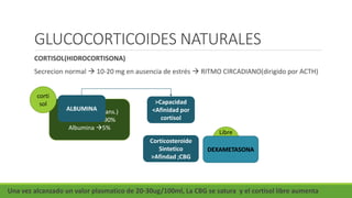 GLUCOCORTICOIDES NATURALES
CORTISOL(HIDROCORTISONA)
Secrecion normal  10-20 mg en ausencia de estrés  RITMO CIRCADIANO(dirigido por ACTH)
CBG(globulina Trans.)
Globulina a290%
Albumina 5%
corti
sol
Libre
5-
10%
Una vez alcanzado un valor plasmatico de 20-30ug/100ml, La CBG se satura y el cortisol libre aumenta
ALBUMINA
>Capacidad
<Afinidad por
cortisol
Corticosteroide
Sintetico
>Afindad ;CBG
DEXAMETASONA
 