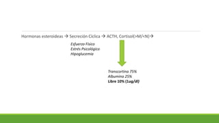 Hormonas esteroideas  Secreción Cíclica  ACTH, Cortisol(>M/<N)
Esfuerzo Físico
Estrés Psicológico
Hipoglucemia
Transcortina 75%
Albumina 25%
Libre 10% (1ug/dl)
 