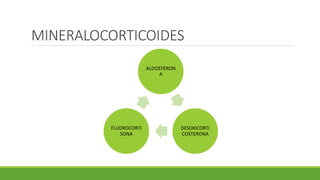 MINERALOCORTICOIDES
ALDOSTERON
A
DESOXICORTI
COSTERONA
FLUDROCORTI
SONA
 