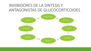 INHIBIDORES DE LA SINTESIS Y
ANTAGONISTAS DE GLUCOCORTICOIDES
AMINOGLUTETIMIDA
KETOCONAZOL
ETOMIDATO
METIRAPONA
TRILOSNATO
ABIRATERONA
MIFEPRISTONA
MITOTANO
 