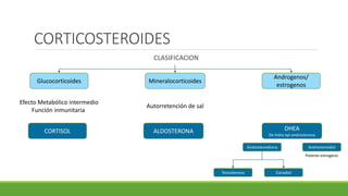CORTICOSTEROIDES
CLASIFICACION
Glucocorticoides Mineralocorticoides
Androgenos/
estrogenos
Efecto Metabólico intermedio
Función inmunitaria
Autorretención de sal
CORTISOL ALDOSTERONA DHEA
De hidro epi androsterona
Androstenediona Androstenediol
Potente estrogeno
Testosterona Estradiol
 