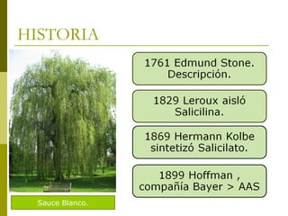 HISTORIA

Sauce Blanco.

 