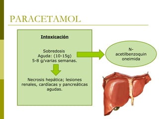 PARACETAMOL
Intoxicación
Sobredosis
Aguda: (10-15g)
5-8 g/varias semanas.

Necrosis hepática; lesiones
renales, cardíacas y pancreáticas
agudas.

Nacetilbenzoquin
oneimida

 
