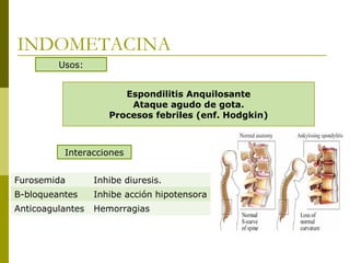 INDOMETACINA
Usos:
Espondilitis Anquilosante
Ataque agudo de gota.
Procesos febriles (enf. Hodgkin)

Interacciones
Furosemida

Inhibe diuresis.

B-bloqueantes

Inhibe acción hipotensora

Anticoagulantes

Hemorragias

 