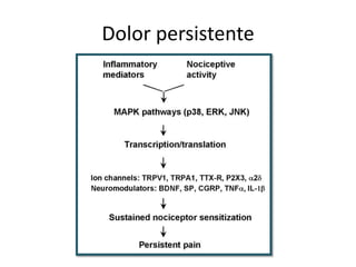 Dolor persistente

 