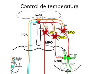 Control de temperatura

 
