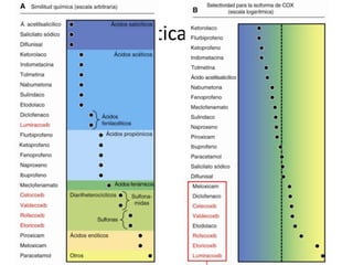 Características generales

 