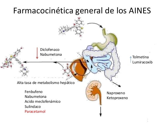 Cuanto Tarda En Eliminarse El Ibuprofeno Del Cuerpo