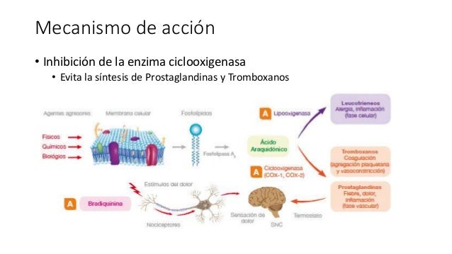 Koronal y la potencia a los hombres