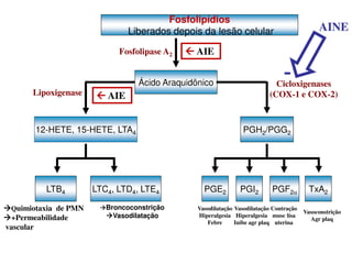 Fosfolipídios
Liberados depois da lesão celular
Ácido Araquidônico
12-HETE, 15-HETE, LTA4
LTB4 LTC4, LTD4, LTE4 TxA2PGE2 PGI2
Fosfolipase A2
Lipoxigenase
Cicloxigenases
(COX-1 e COX-2)
PGH2/PGG2
PGF2
Quimiotaxia de PMN
+Permeabilidade
vascular
Broncoconstrição
Vasodilatação
Vasodilatação
Hiperalgesia
Febre
Vasodilatação
Hiperalgesia
Inibe agr plaq
Contração
musc lisa
uterina
Vasoconstrição
Agr plaq
AINE
 AIE
 AIE
 